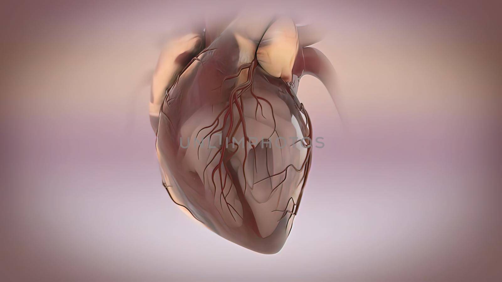 Human Circulatory System Heart Beat Anatomy Concept. 3D illustration