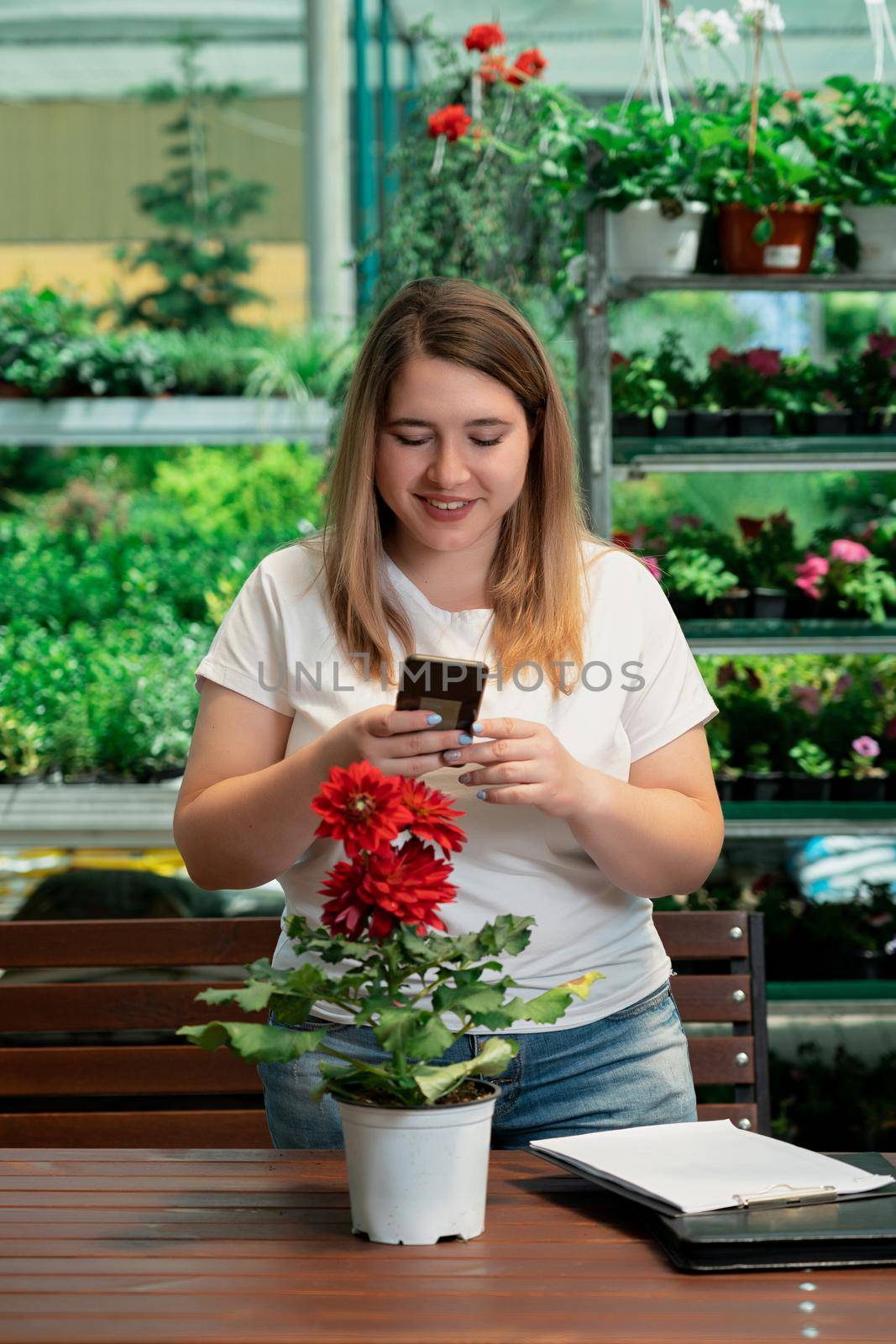 Garden center worker takes a picture of a display case with potted plants with her phone by Mariakray