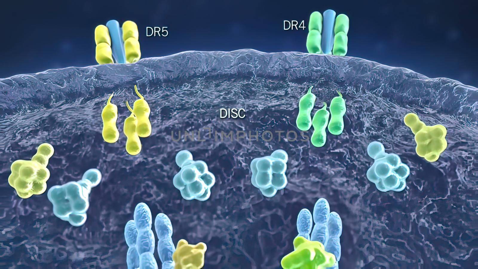 Current, occurring, or functioning state within a cell. Cell functions. 3D illustration