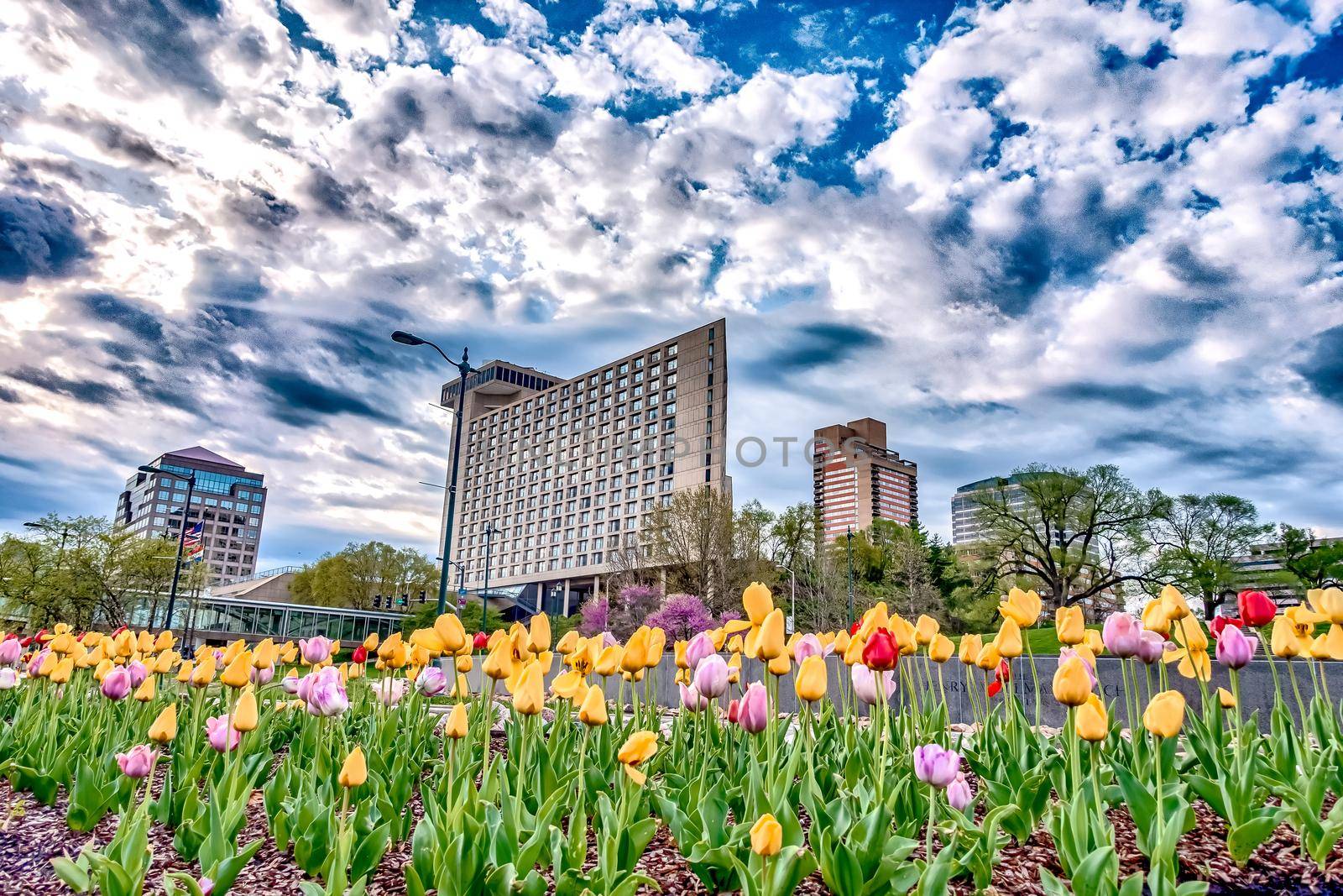 kansas city wwI memorial during day time by digidreamgrafix