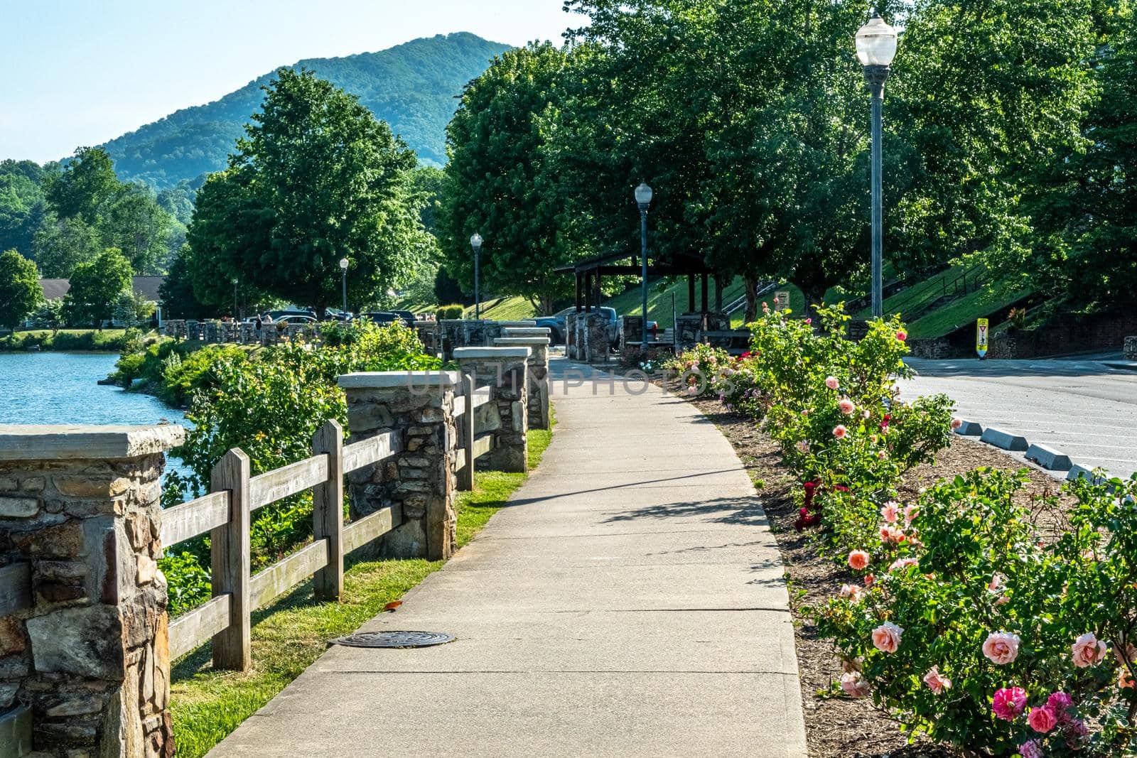 nature senes at lake junaluska north carolina