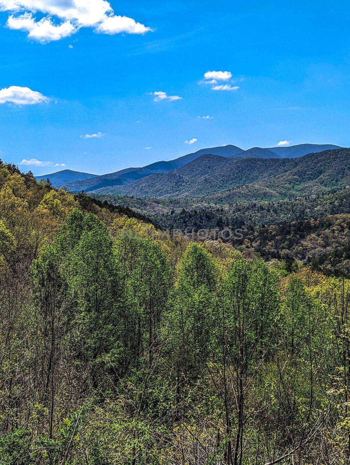 Nantahala national forest scenic mountain ovelook in north carolina