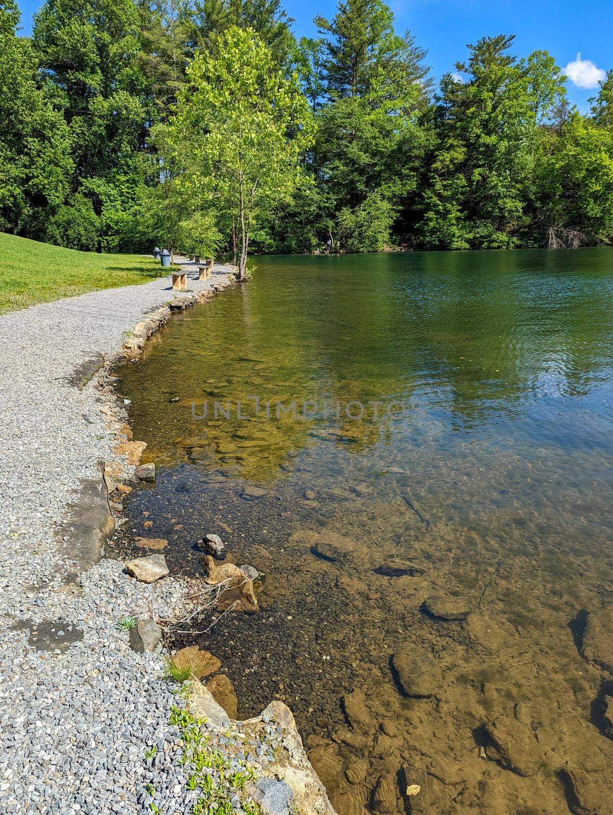 nature scenes at lake julian near asheville north carolina by digidreamgrafix