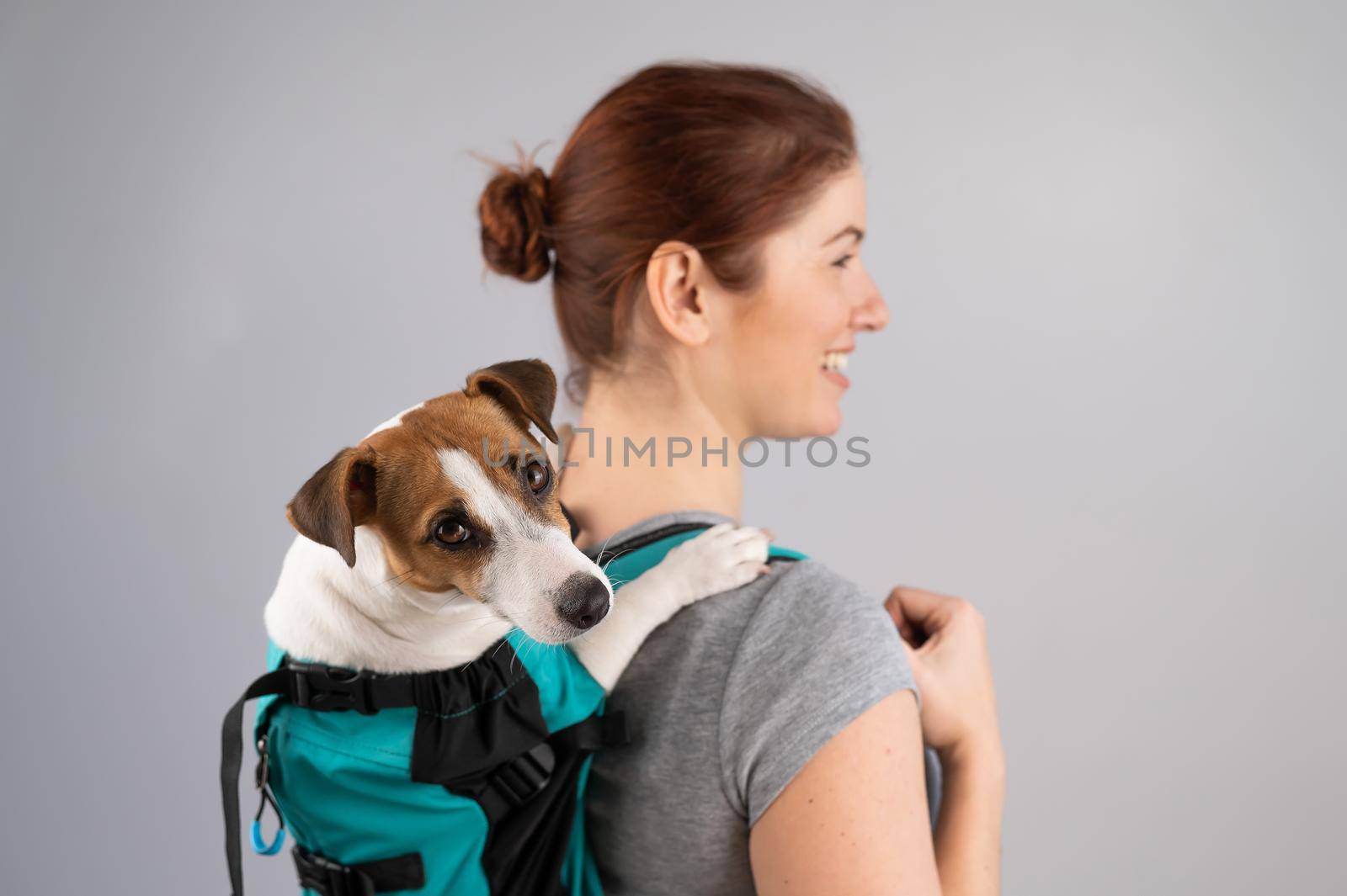 Caucasian woman carries jack russell terrier dog in her backpack