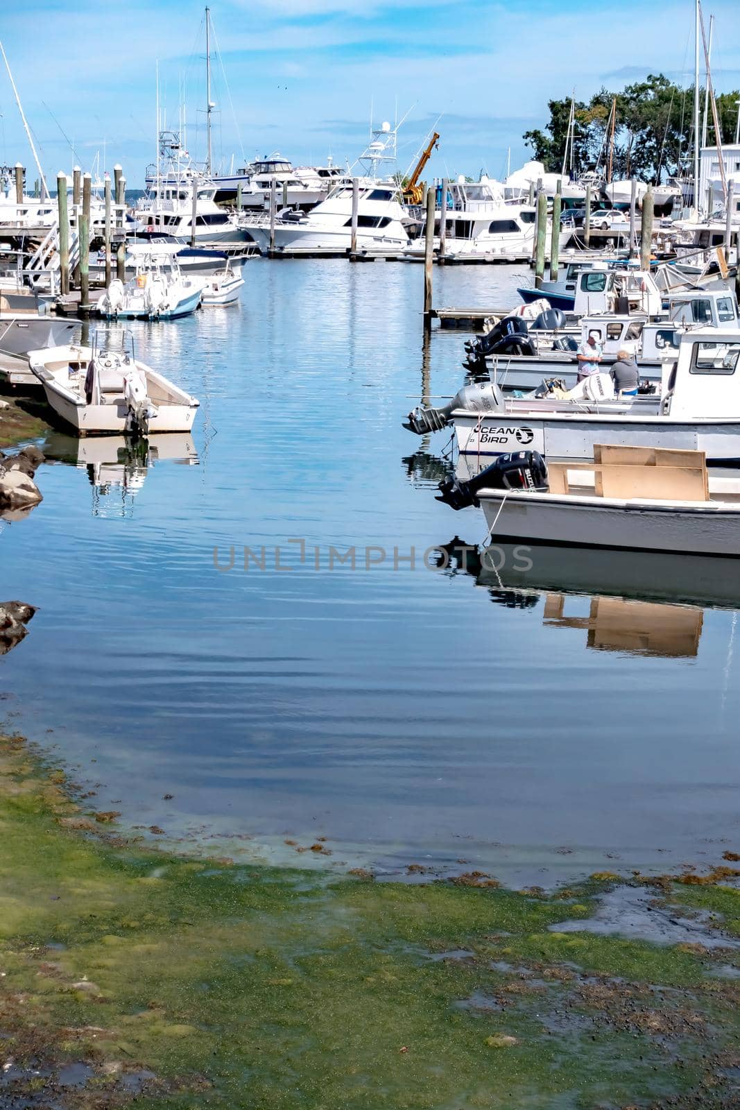 Small boats lining waterfront in Wickford Cove rhode island