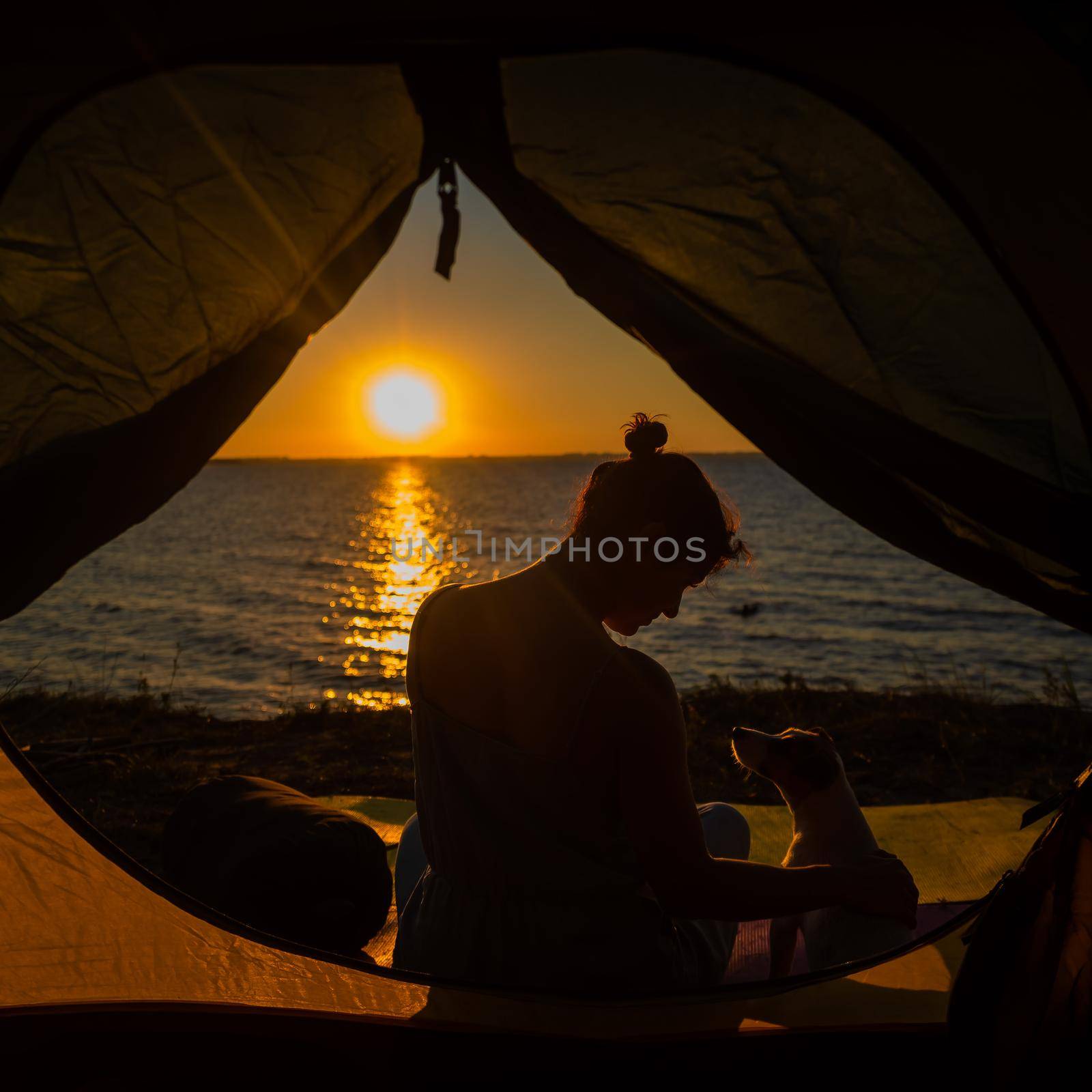 A woman and a dog in a tourist tent at sunrise. Camping with a pet.