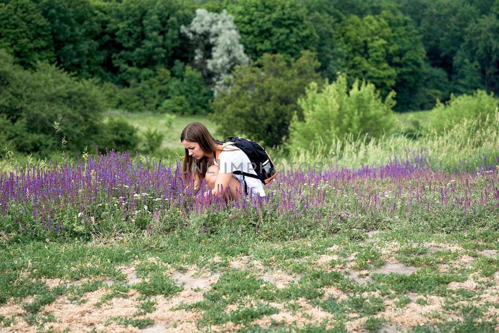 Pretty young woman picking a bouquet of medic herbs. Lilac flowers and greenery by jovani68