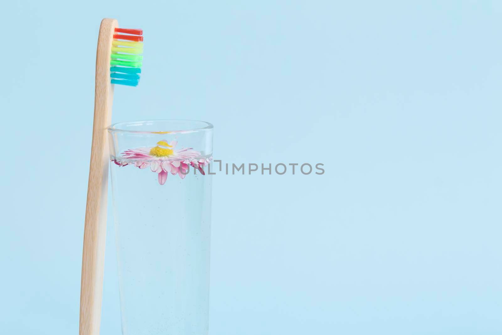 An ecological wooden toothbrush, a glass with clean, clear water and a white daisy on a blue background. And an empty space for advertising dentistry.