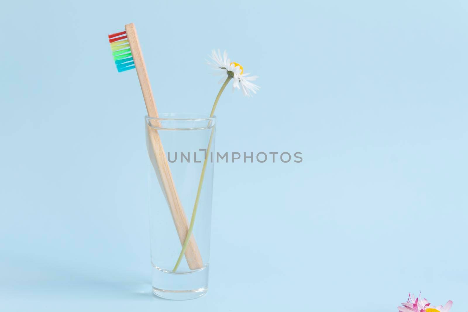 An ecological wooden toothbrush, a glass with clean, clear water and a white daisy on a blue background. by Alla_Yurtayeva