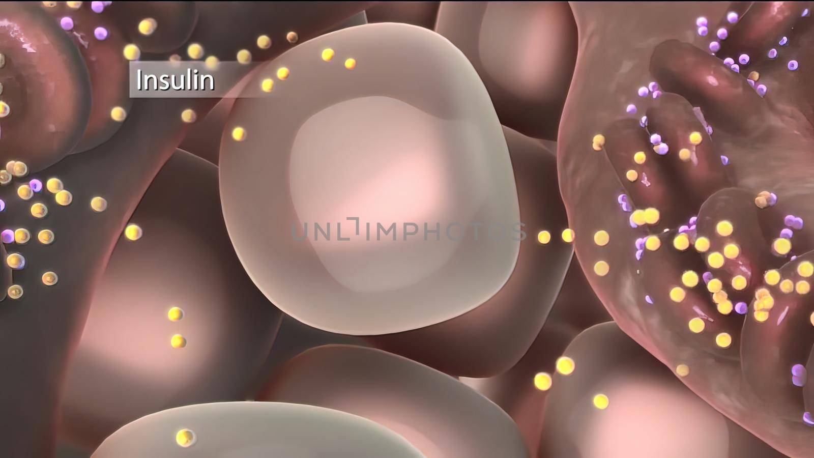 The insulin tells cells throughout your body to take in glucose from your bloodstream 3D illustration