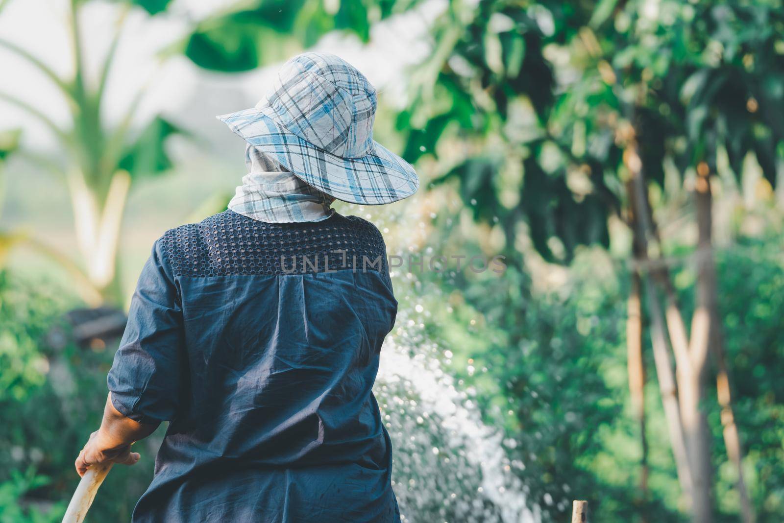 Asian woman gardener watering the lawn plants and trees in agriculture garden for fresh and growth at outdoors countryside