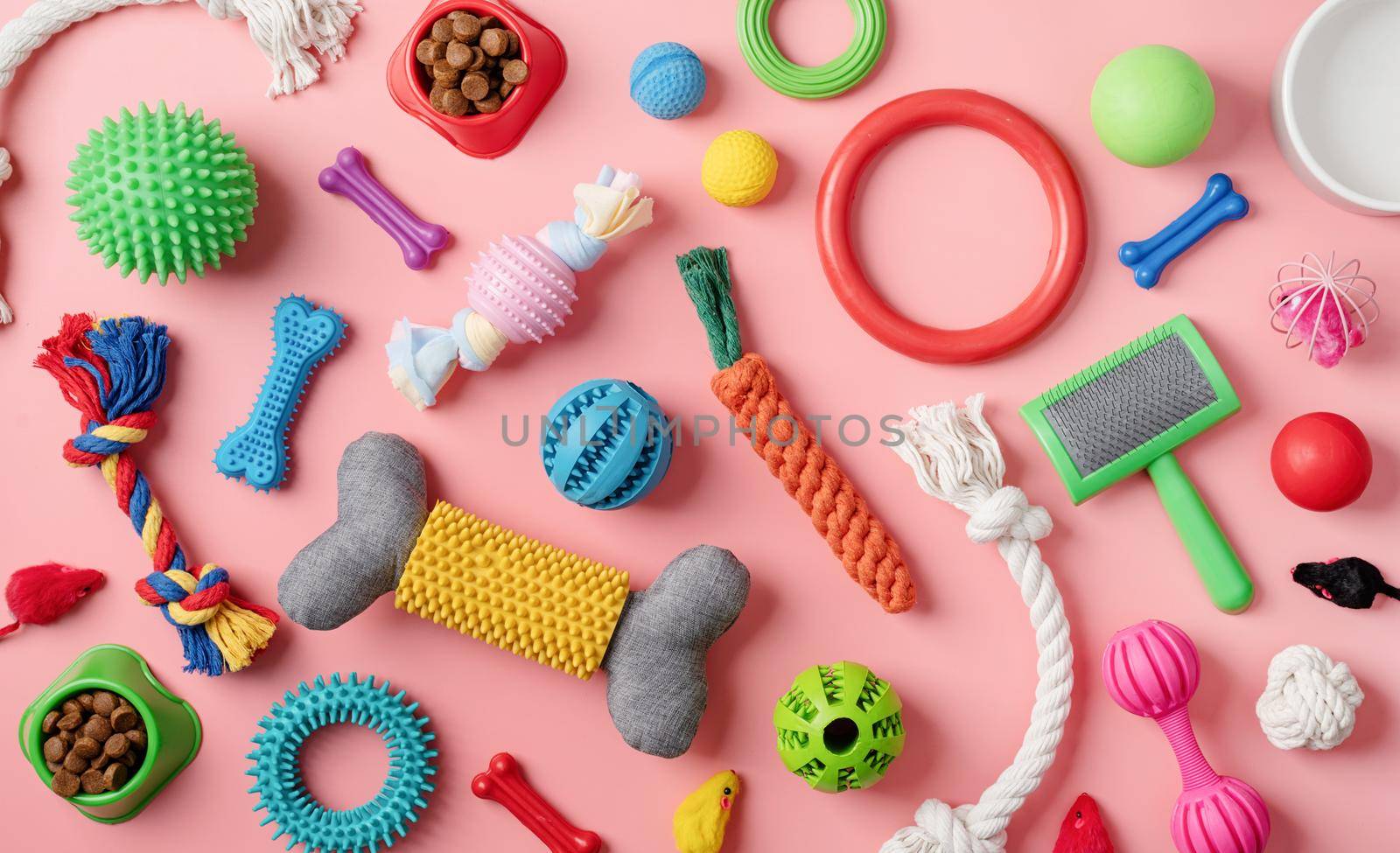 Pet care concept, various pet accessories and tools on pink background, flat lay by Desperada