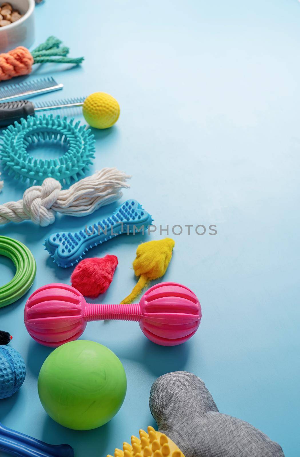 Pet care concept, various pet accessories on blue background, flat lay by Desperada