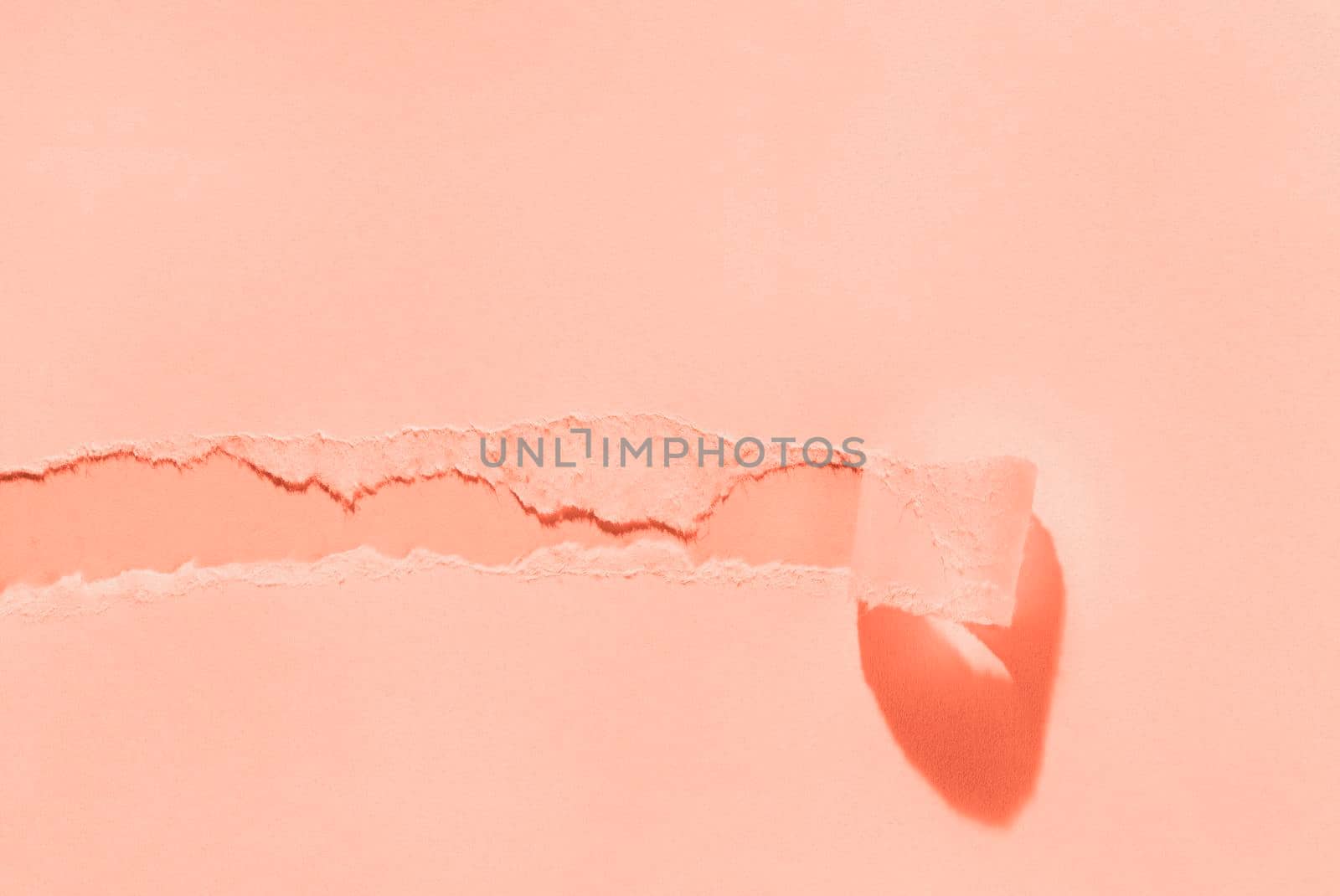 Piece of torn coral paper on coral background 
