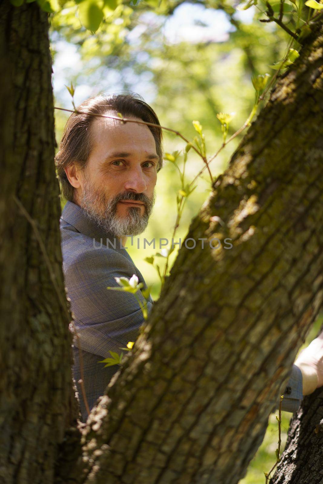 Handsome mature man with grey beard looking out behind tree hugging it wearing casual jacket and jeans exits frame. 4K high resolution footage by LipikStockMedia