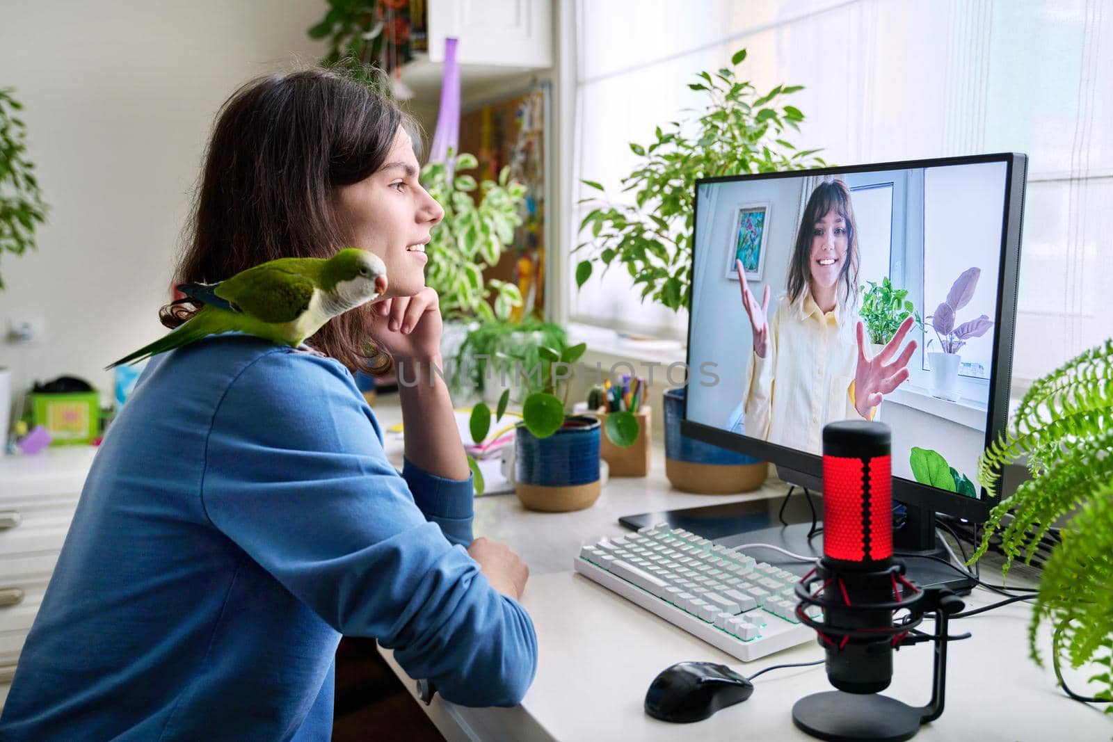 Online meeting of teenagers friends, guy with pet parrot at home talking to a female by VH-studio