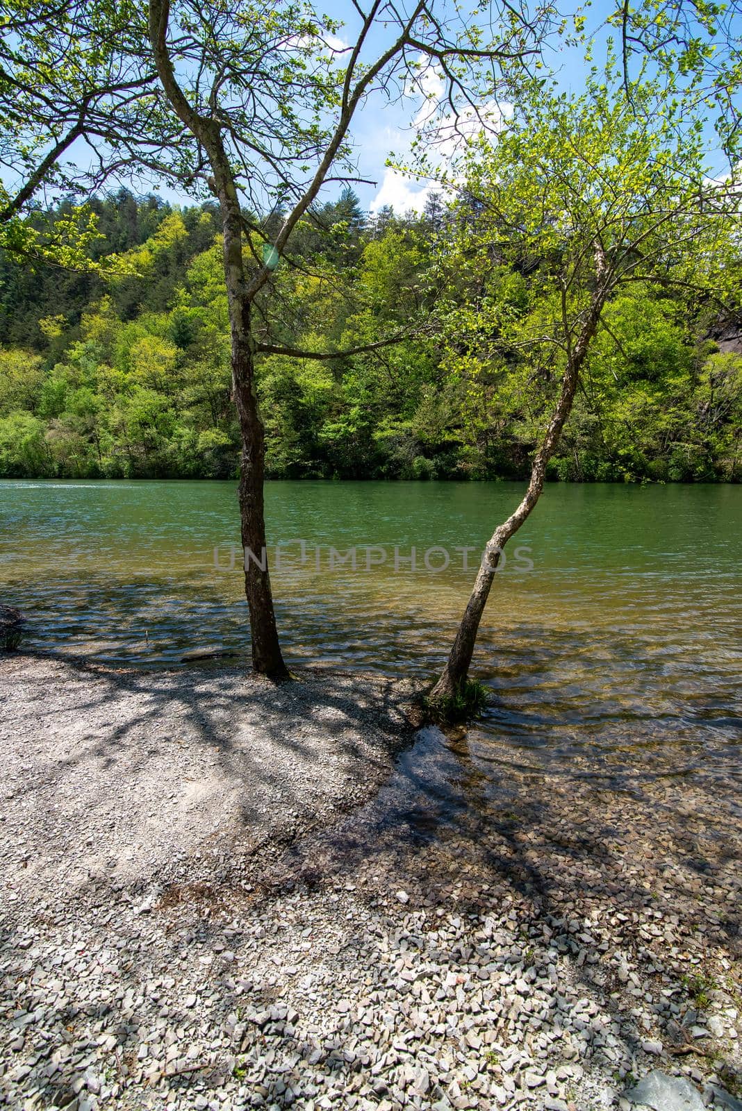 nature scenes at lake julian near asheville north carolina