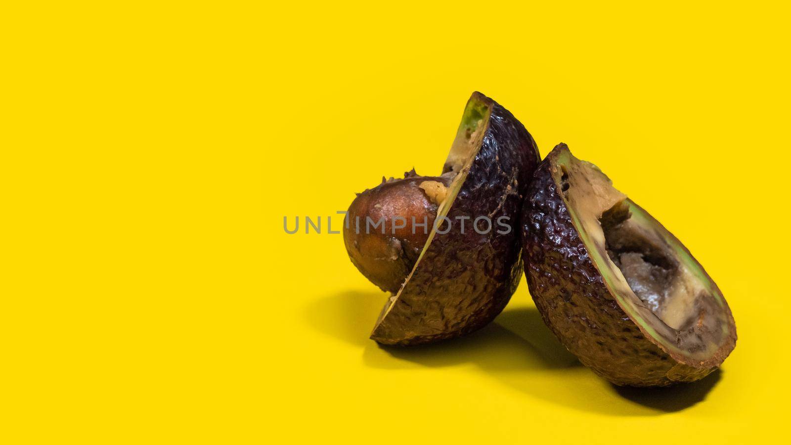 Ugly food on yellow background. Rotten tropical Avocado fruits. Concept of rotten fruit. Copy space on yellow background.