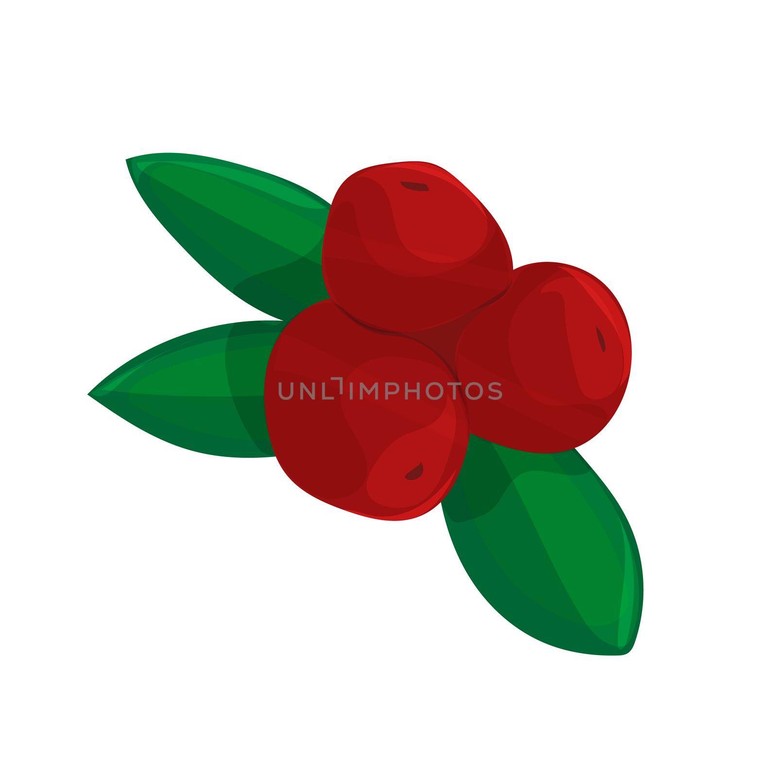 Red berries with green leaves cartoon isolated illustration on white