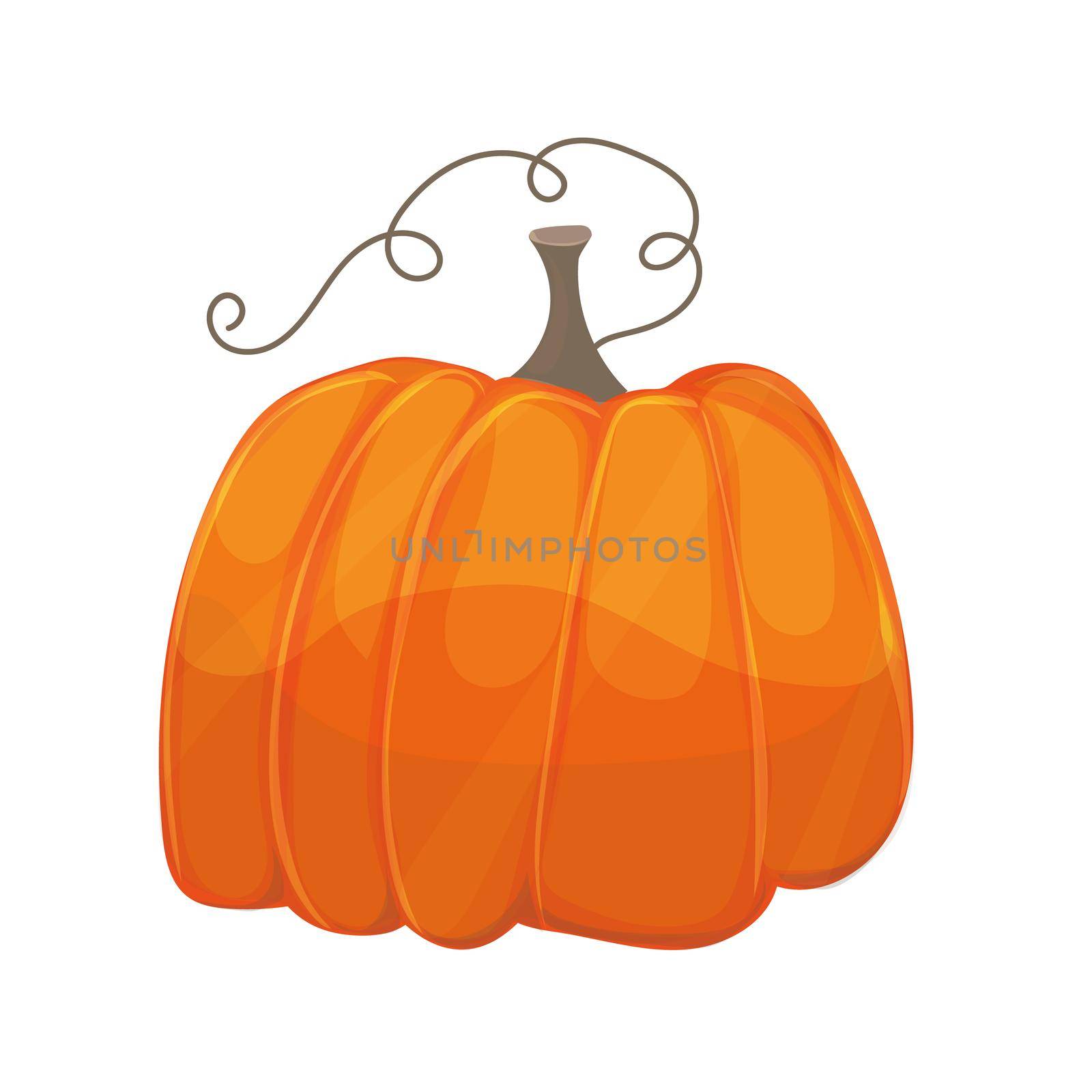 One pumpkin on white background illustration by natali_brill