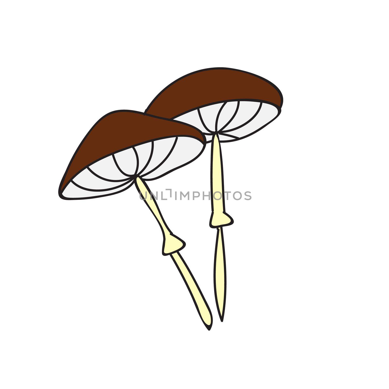 Cute mushroom in doodle style. Poisonous mushroom, toadstool. Vector isolated hand drawn illustration