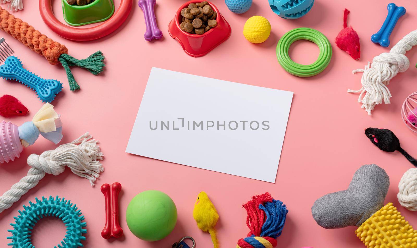 Pet care concept, various pet accessories and tools, toys, balls, brushes on pink background with blank paper for mockup design, high angle view