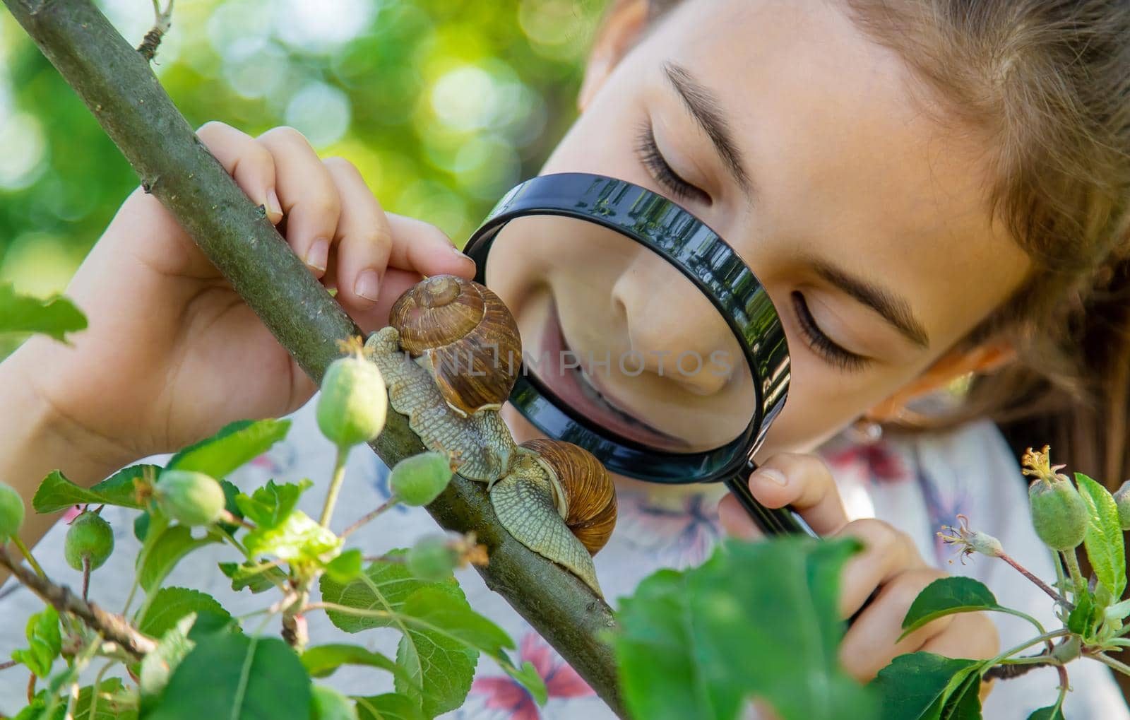 The child examines the snails on the tree. Selective focus. Nature.