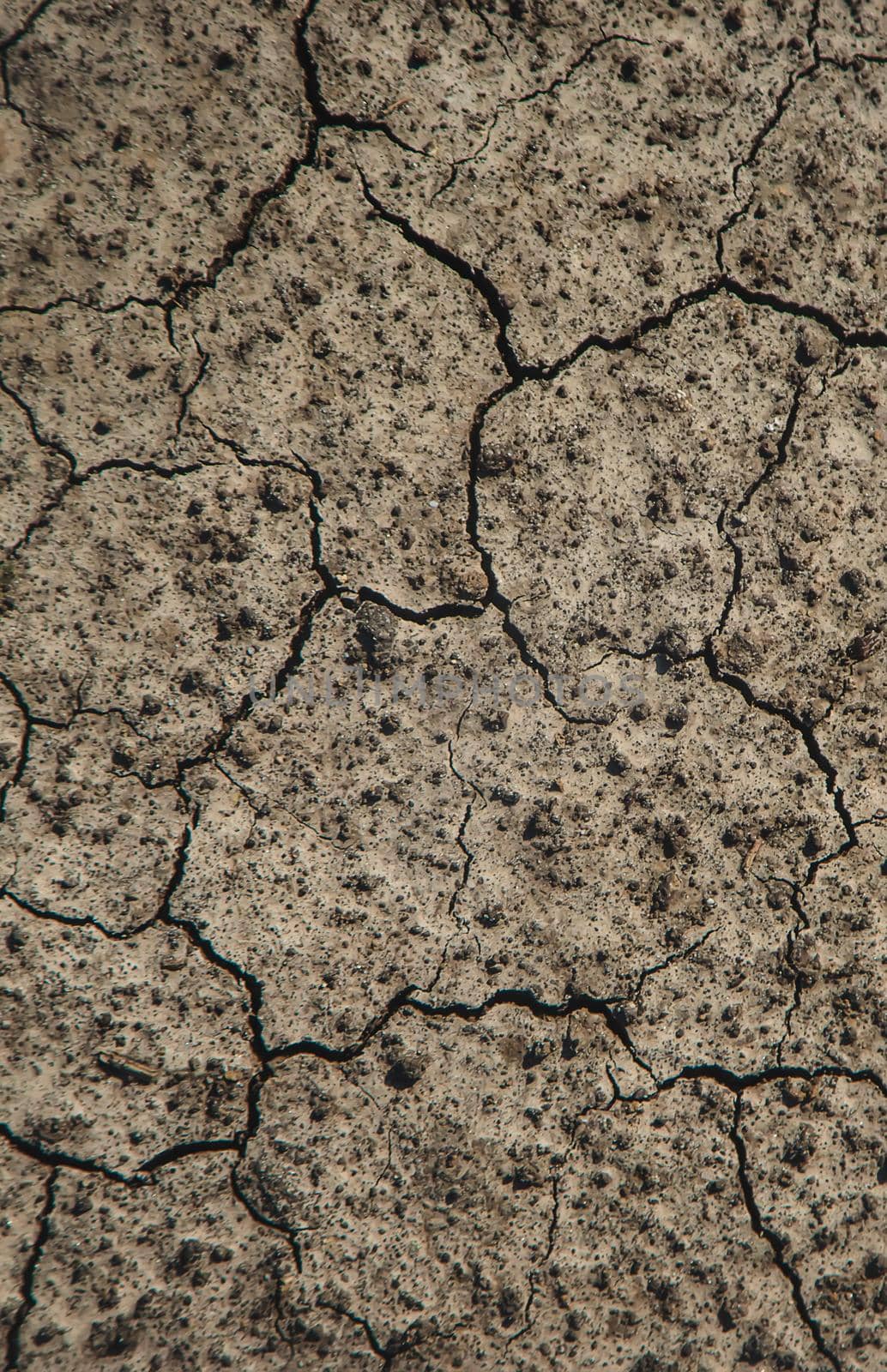 Dry cracked ground background texture Selective focus. Nature.