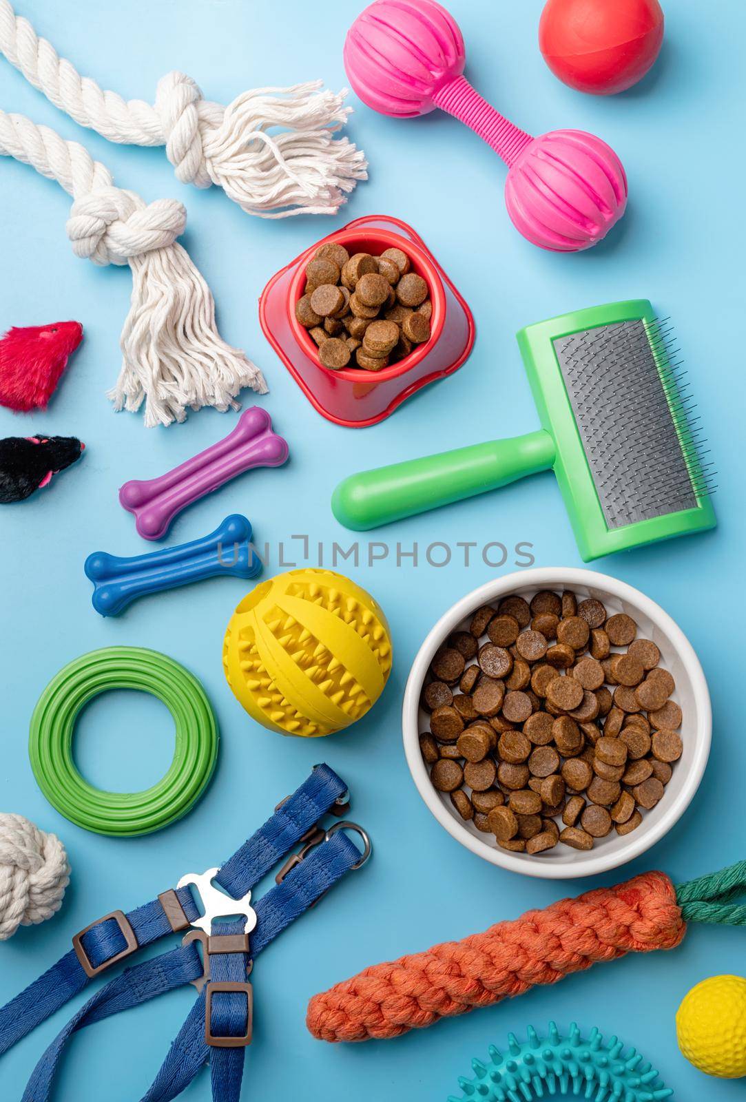 Pet care concept, various pet accessories and tools, toys, balls, brushes on blue background, flat lay pattern