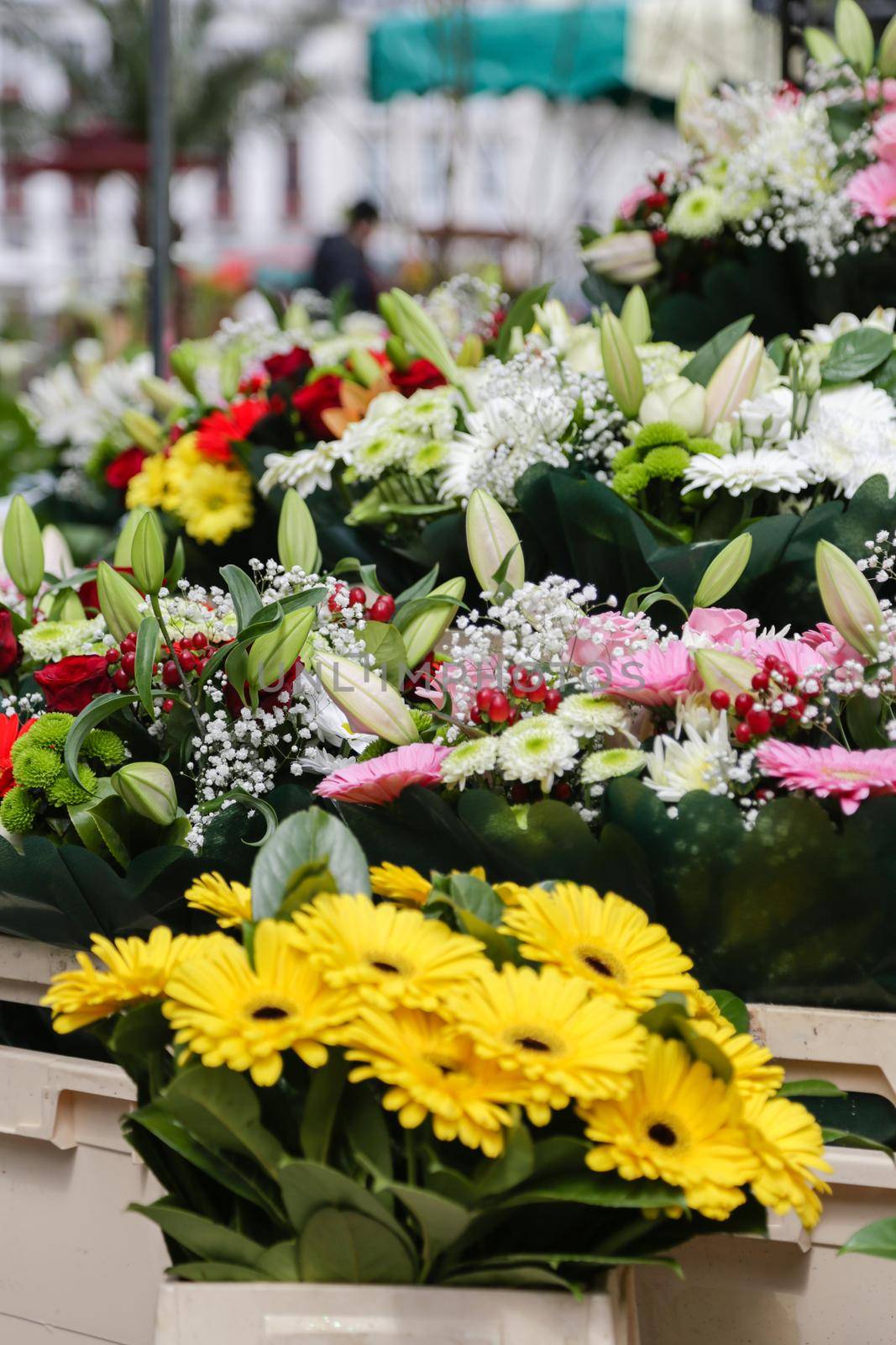 Flowers from the flower shop at the market in Lille