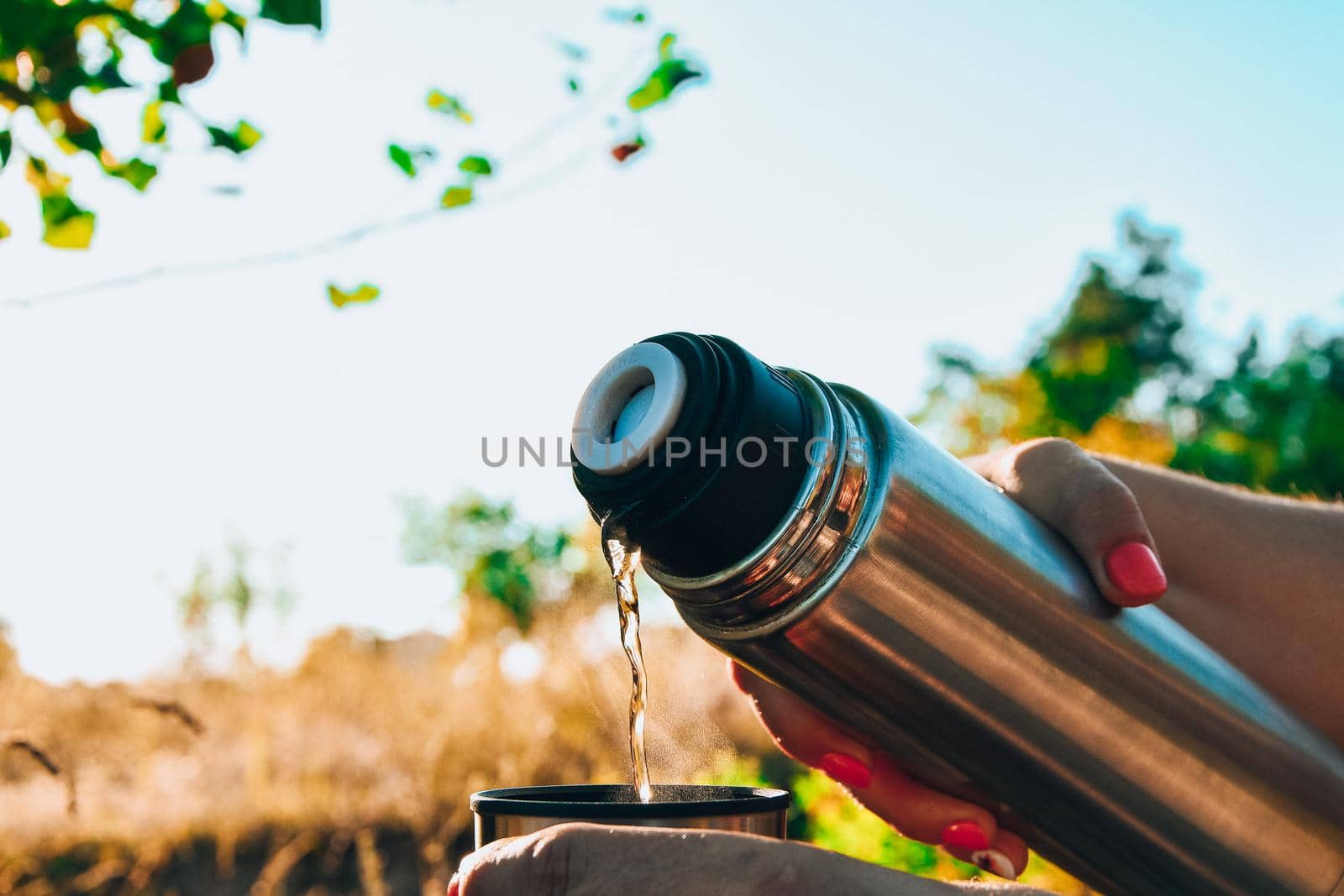 Traveler pouring hot tea from thermos to cup at autumn fallen forest outdoor. by anna_stasiia