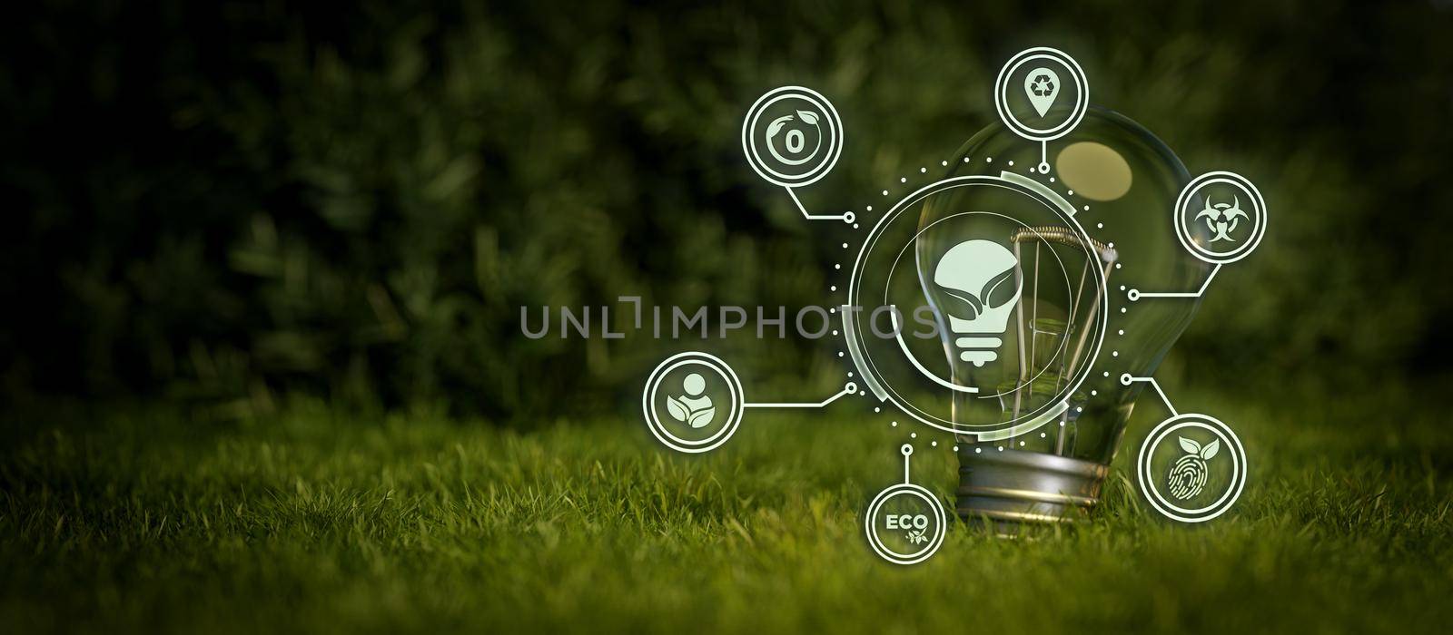 Abstract Eco ESG Lightbulb Modernization Environmental Social Governance Conservation And CSR Policy. Earth Globe With Forest Background Illustrative Banner Background 3D Illustration