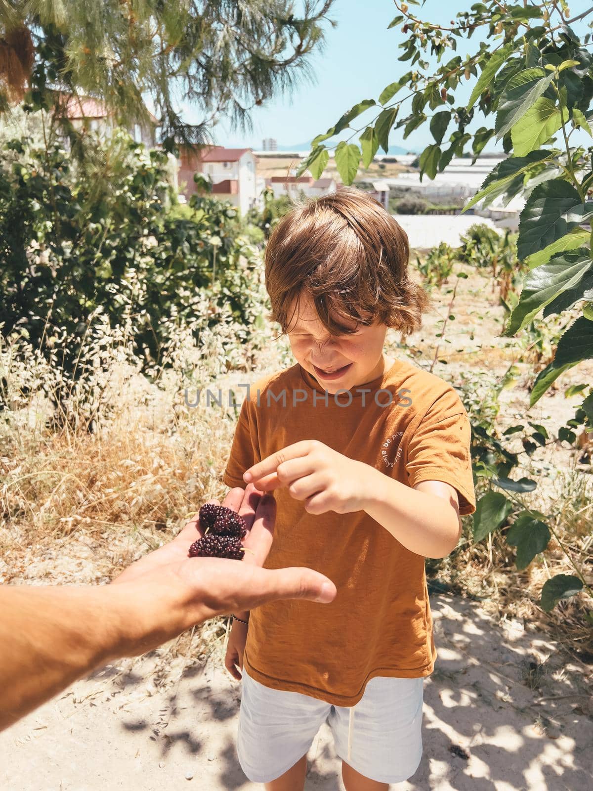 Dad father man holds hands gives his child son school kid boy a mulberry berry while taking a stroll outside.