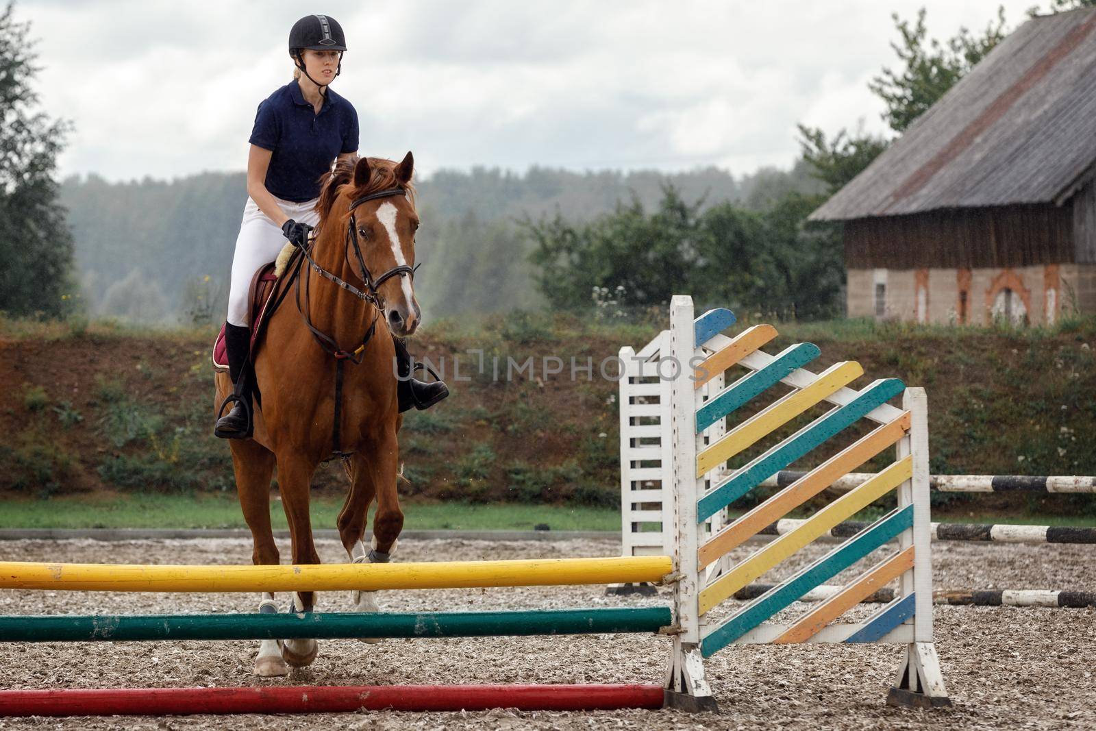 Active woman girl jockey training riding horse jumping over fence. Equestrian sport competition and activity.