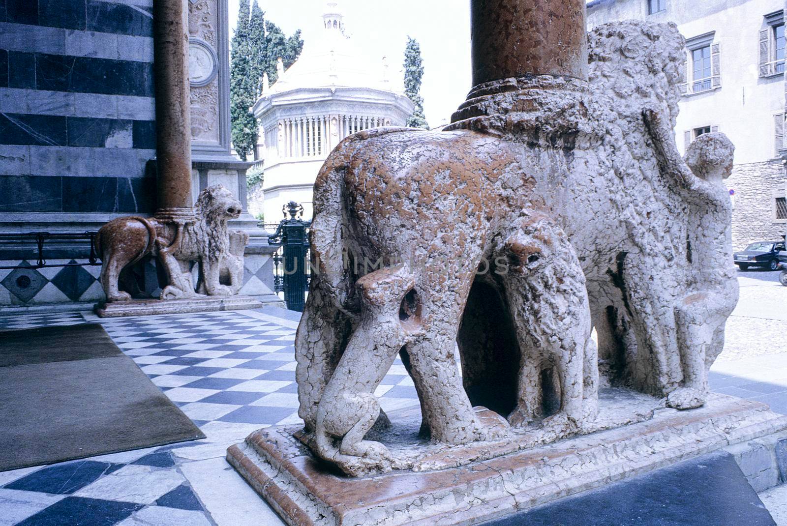 Detail of one of the lions supporting the columns of the right transept porch. Basilica of Santa Maria Maggiore, Bergamo Alta, Lombardia, Italy