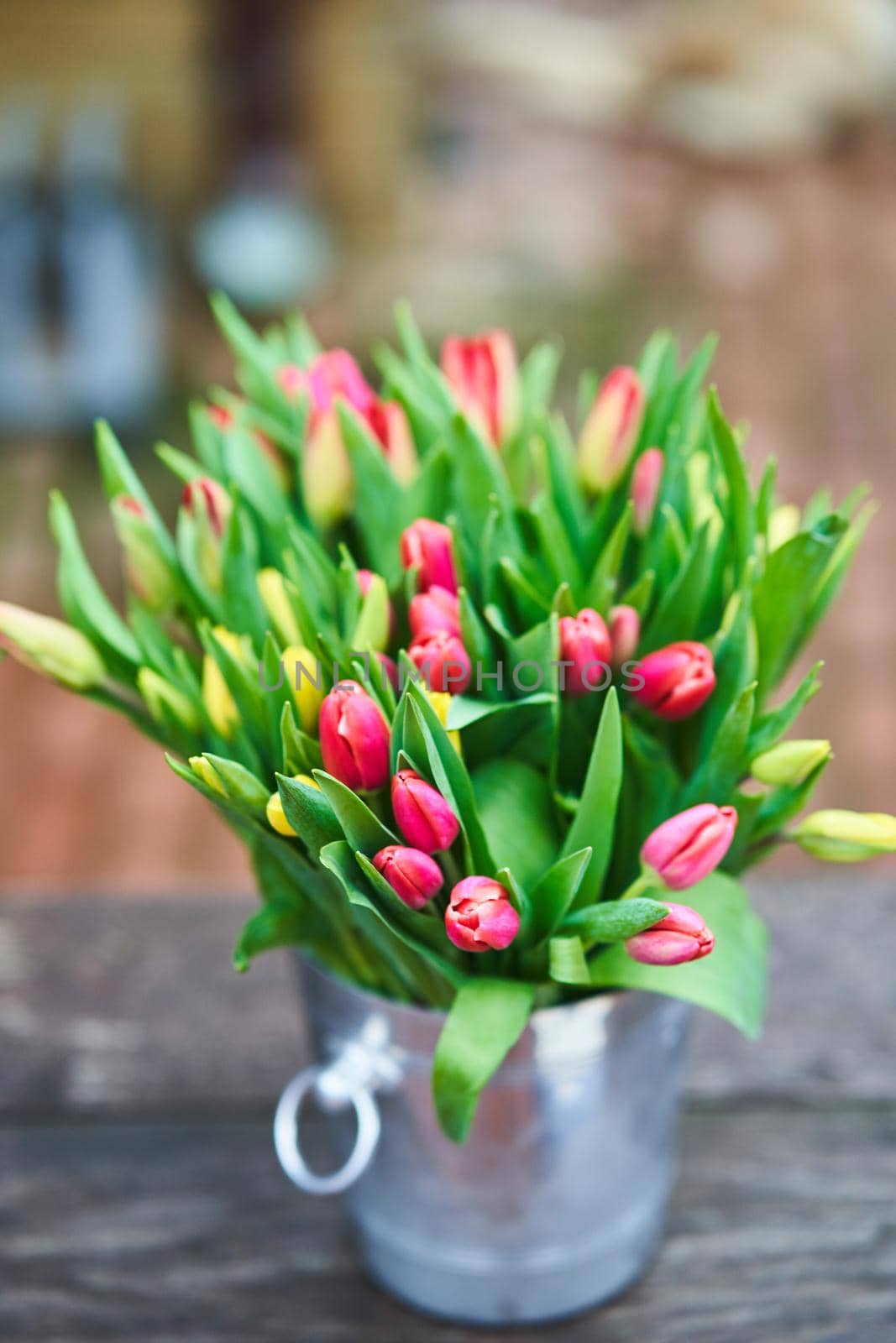 Bouquet of tulips in an iron bucket. Natural flowers. by driver-s