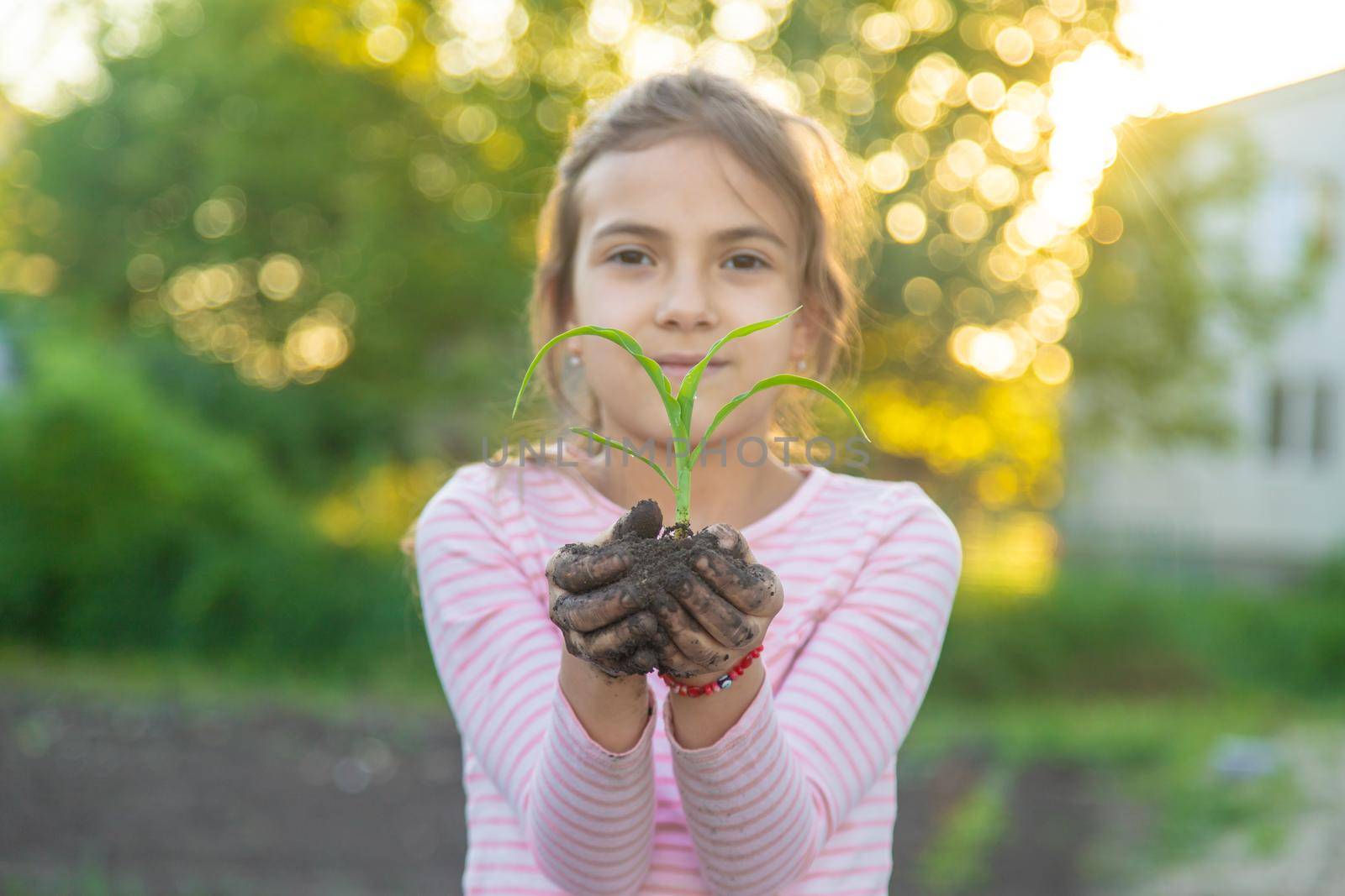 The child is planting a plant in the garden. Selective focus. Kid.