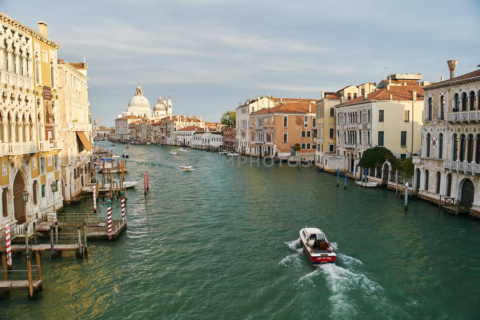 Venice, Italy - 10.12.2021: View from the Accademia Bridge to the Cathedrale Santa Maria della Salute by driver-s