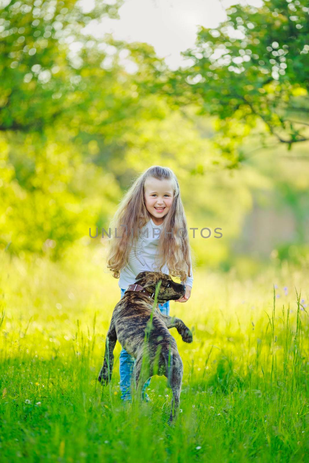 girl playing with dog by zokov
