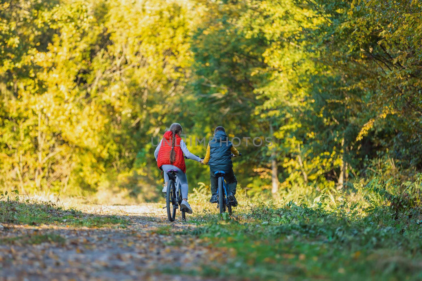children ride a bike near the forest holding hands