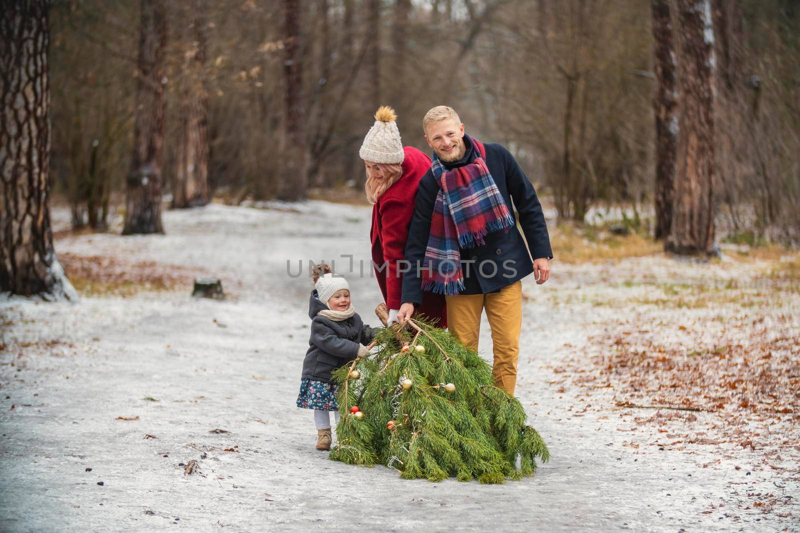 the family drags the tree behind them by zokov