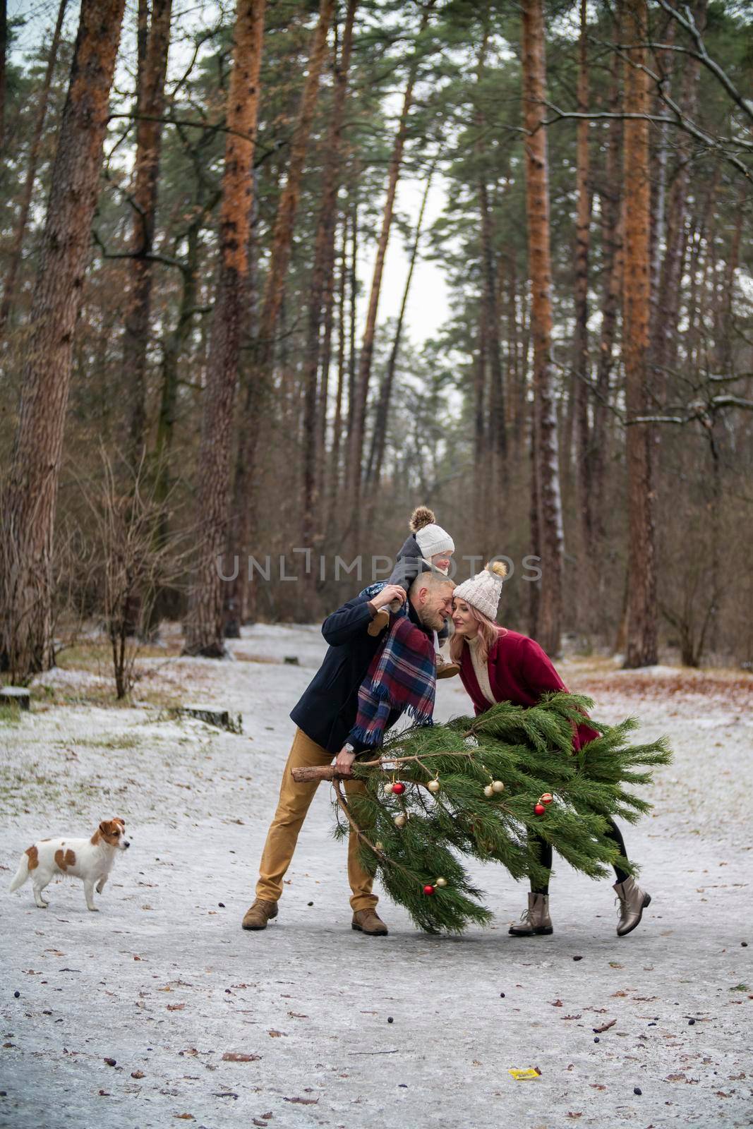 family carries christmas tree in winter park