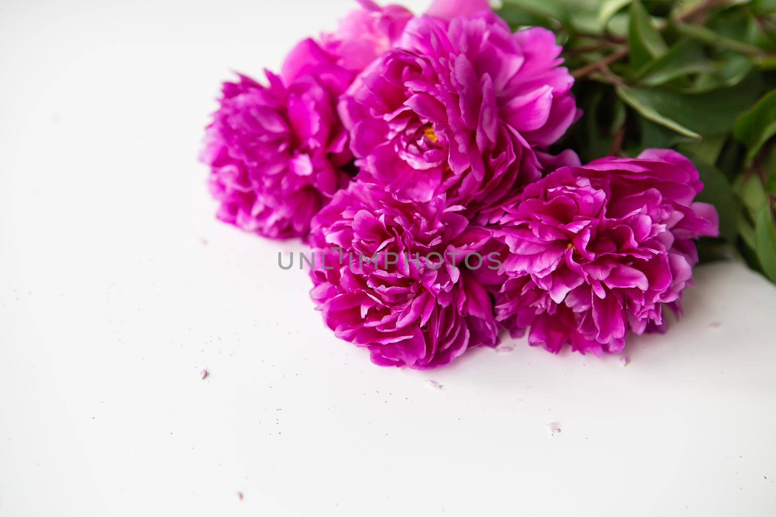 Beautiful bouquet of pink peonies. The concept of the work of a florist in a flower shop. Place for an inscription