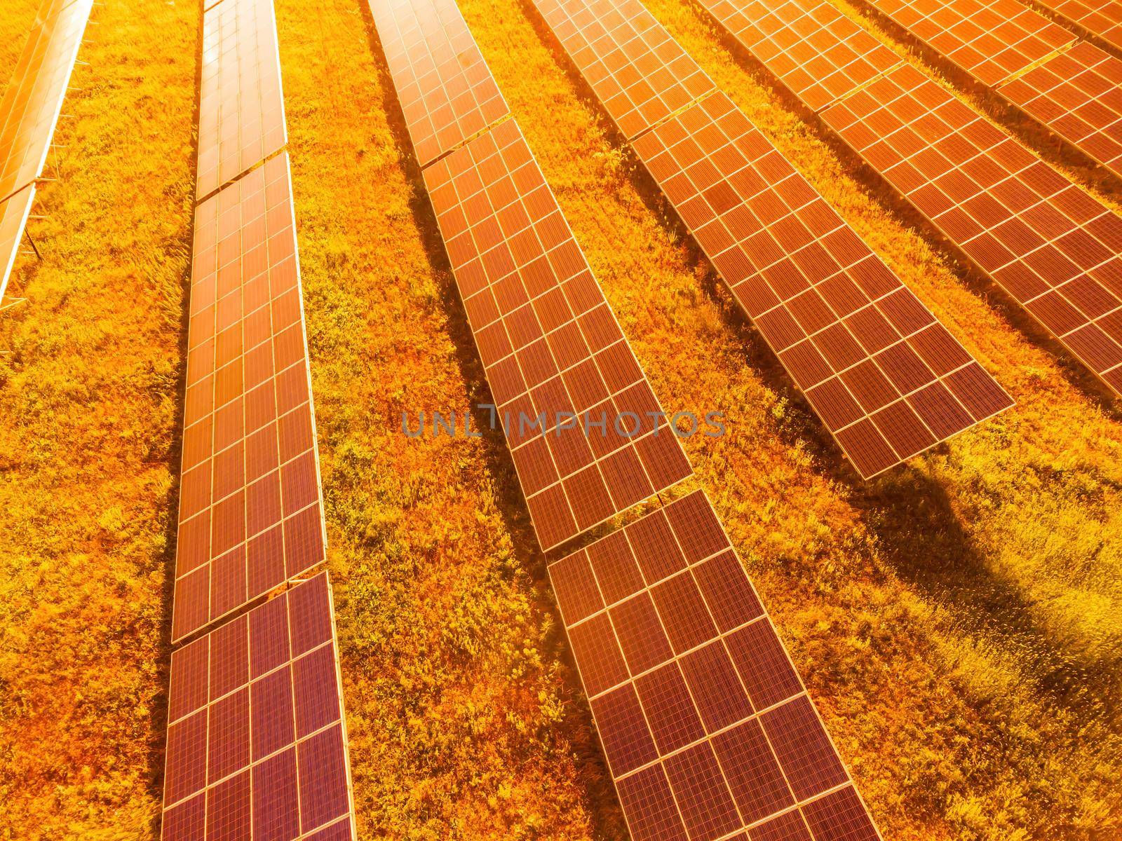 Aerial top view of a solar panels power plant. Photovoltaic solar panels at sunrise and sunset in countryside from above. Modern technology, climate care, earth saving, renewable energy concept