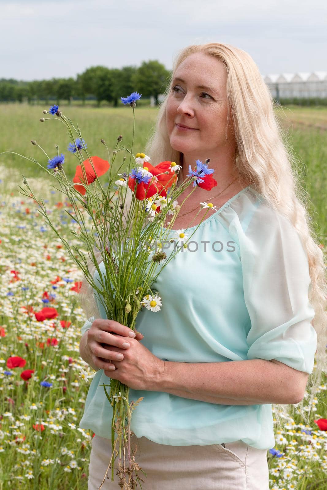 beautiful middle-aged blonde woman stands among a flowering field of poppies by KaterinaDalemans