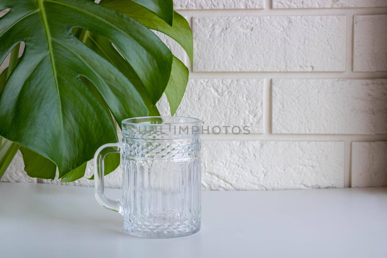 Leaves of Monstera, in front of a white brick wall next to a glass mug.