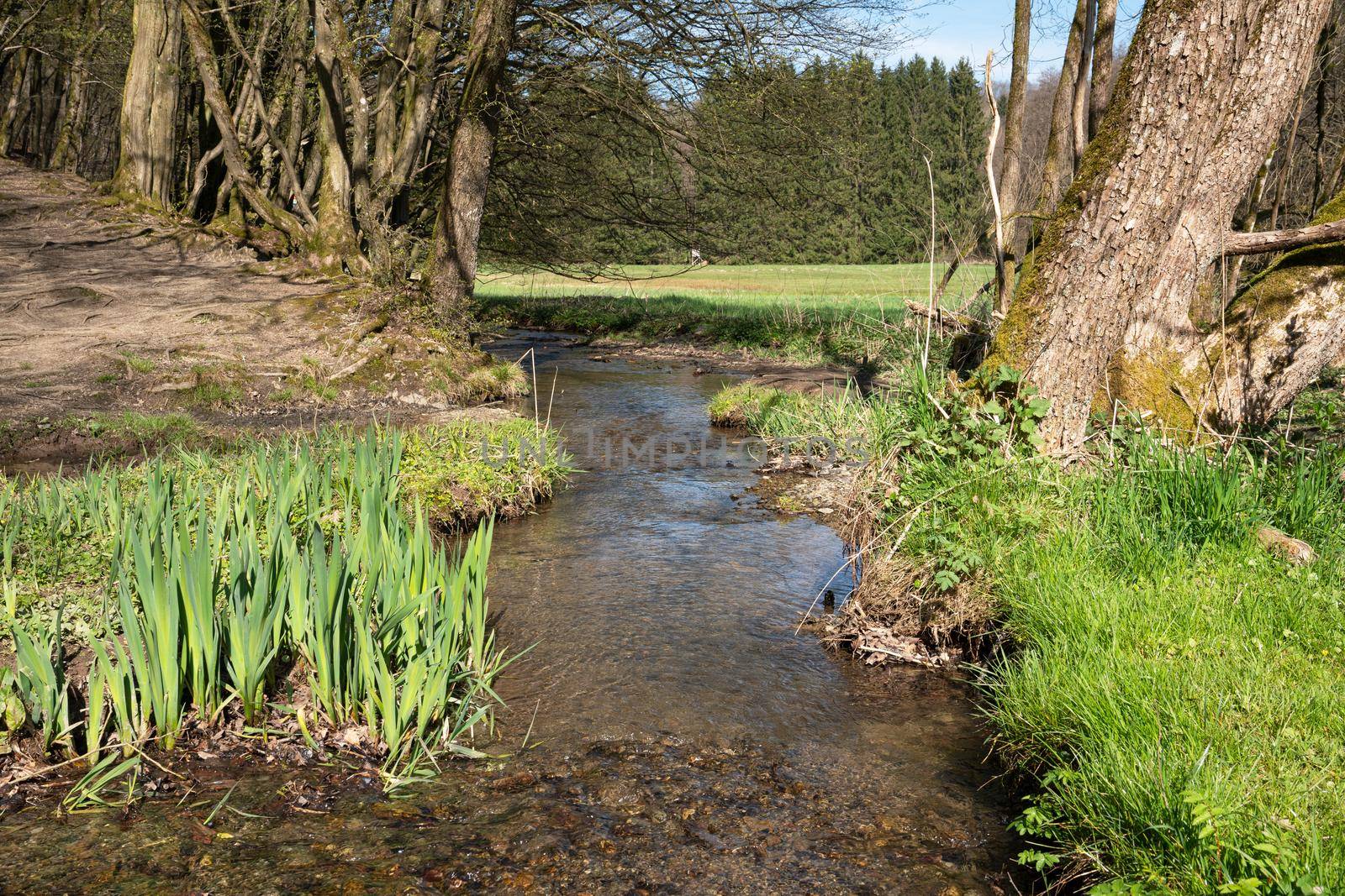 Panoramic image of bodies of water, idyllic scenery within the Bergisches Land, Germany