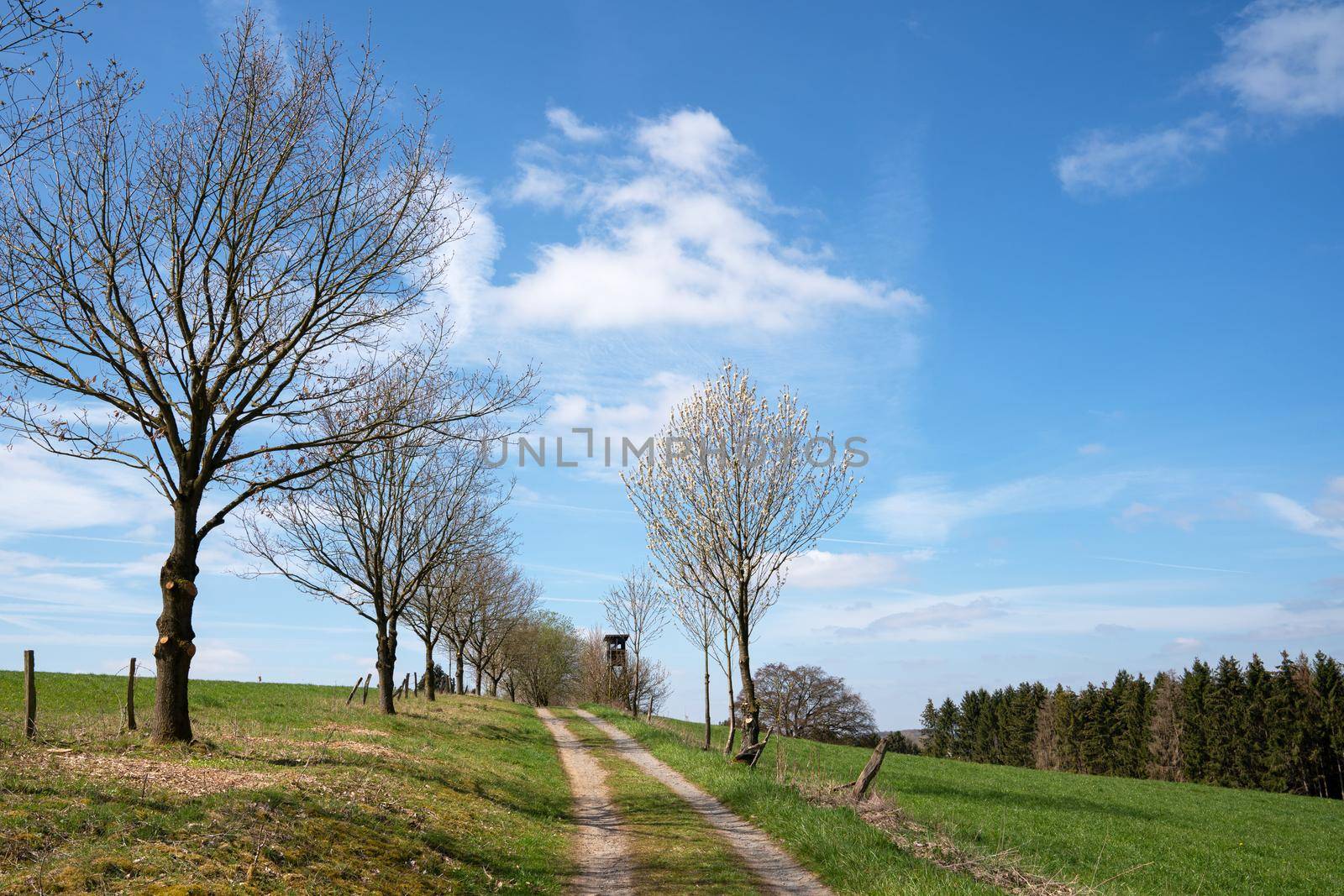 Panoramic image of deerstand against sky, Bergisches Land, Germany