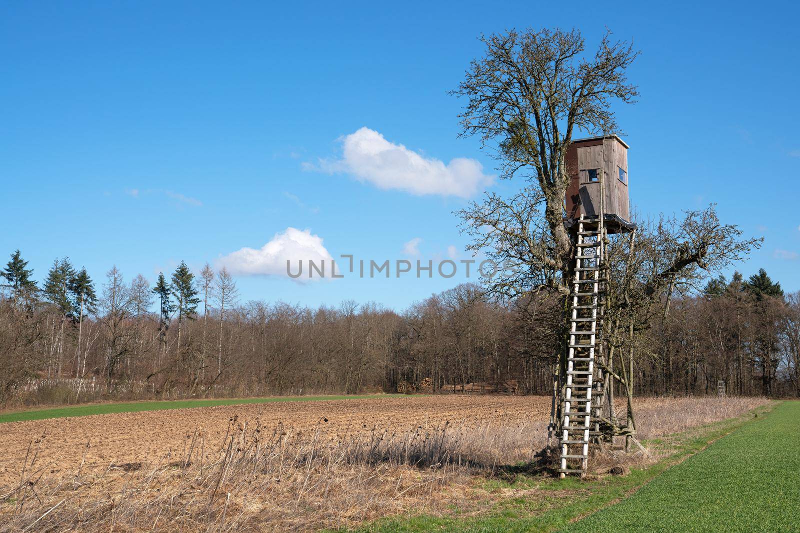 Panoramic image of deerstand against sky, Eifel Germany