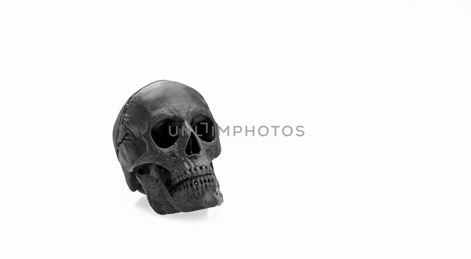 skull black in profile isolated on white background with shadow